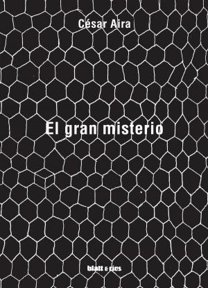 Cover of the book El gran misterio by Wolfgang Hermann