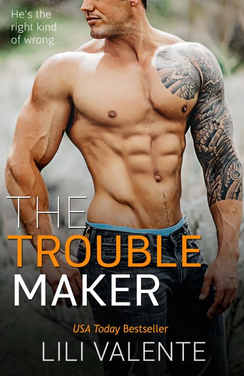 Cover of the book The Troublemaker by Lili Valente, Self Taught Ninja