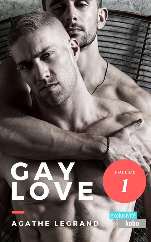 Cover of the book Gay Love (Vol. 1) by Agathe Legrand, AL Edition