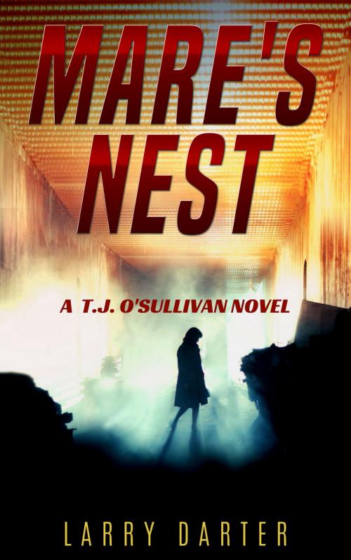 Cover of the book Mare's Nest by Larry Darter, Fedora Press