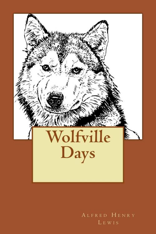 Cover of the book Wolfville Days (Illustrated Edition) by Alfred Henry Lewis, Steve Gabany