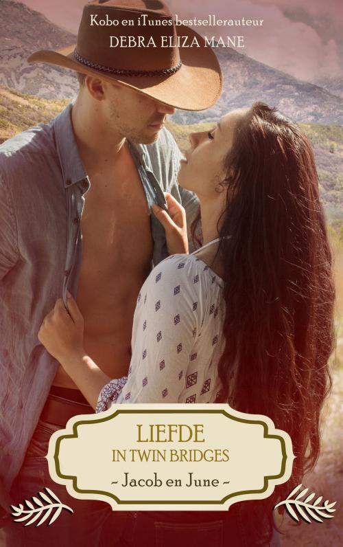 Cover of the book Liefde in Twin Bridges: Jacob en June by Debra Eliza Mane, Dutch Venture Publishing