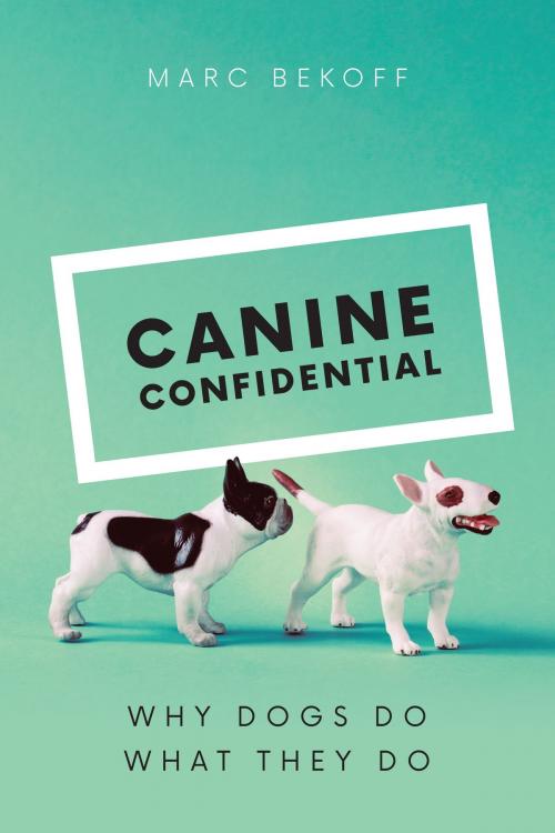 Cover of the book Canine Confidential by Marc Bekoff, University of Chicago Press