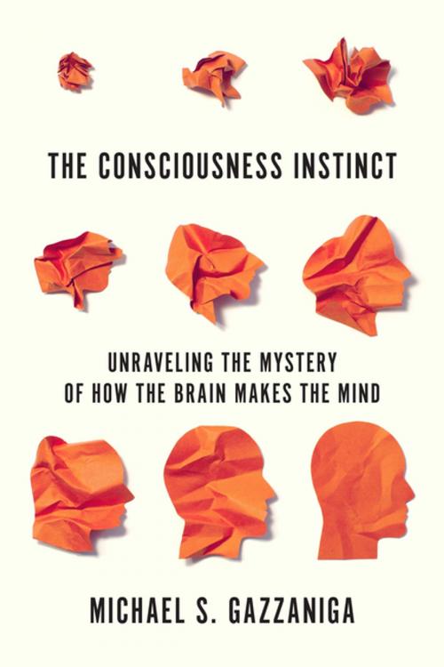 Cover of the book The Consciousness Instinct by Michael S. Gazzaniga, Farrar, Straus and Giroux