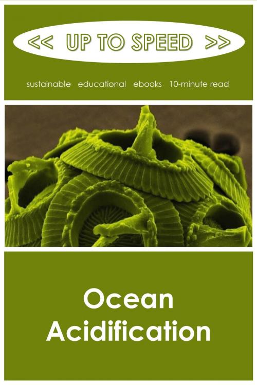 Cover of the book Ocean Acidification by Up to Speed, Up to Speed