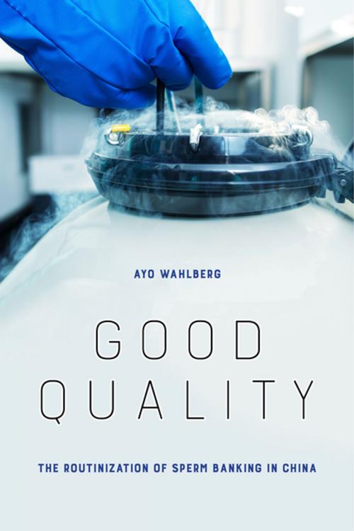 Cover of the book Good Quality by Ayo Wahlberg, University of California Press