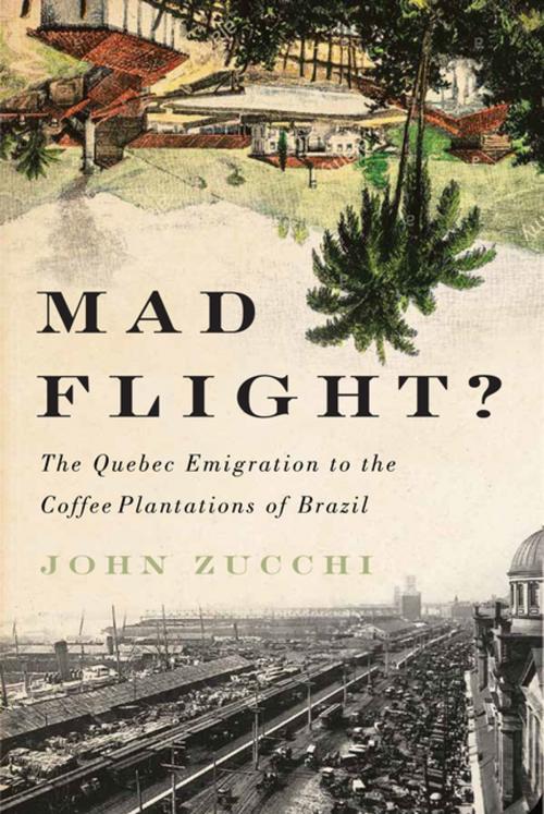 Cover of the book Mad Flight? by John Zucchi, MQUP