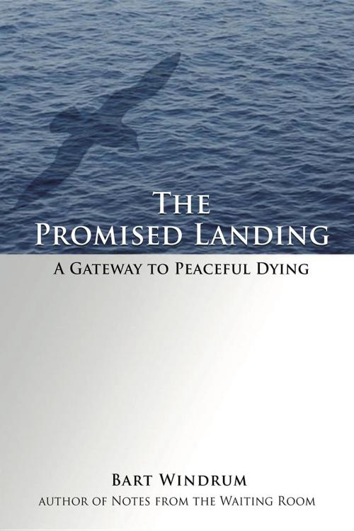 Cover of the book The Promised Landing by Bart Windrum, Axiom Action LLC