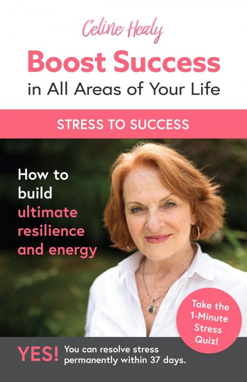 Cover of the book Boost Success in All Areas of Your Life: How to Build Ultimate Resilience and Energy by Celine Healy, Celine Healy