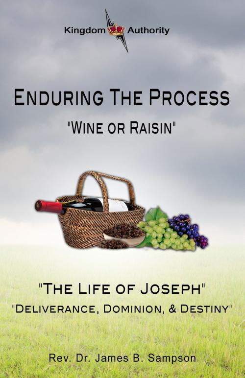 Cover of the book Enduring the Process by Rev. Dr. James B. Sampson, BookBaby