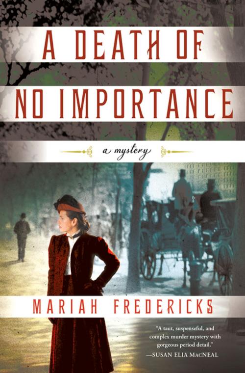 Cover of the book A Death of No Importance by Mariah Fredericks, St. Martin's Press