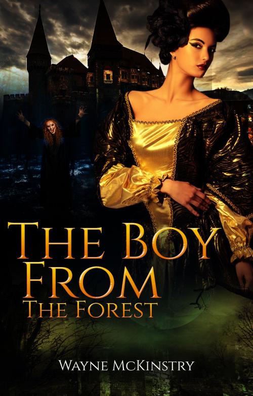 Cover of the book The Boy From The Forest by Wayne McKinstry, Wayne McKinstry
