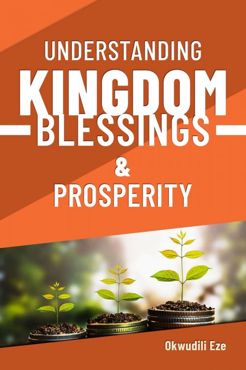 Cover of the book Understanding Kingdom Blessings and Prosperity by Okwudili Eze, Okwudili Eze