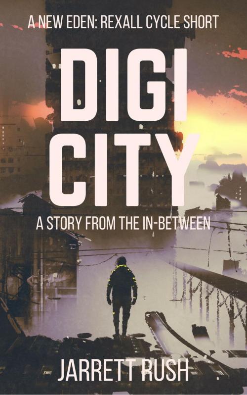 Cover of the book Digi City by Jarrett Rush, Jarrett Rush