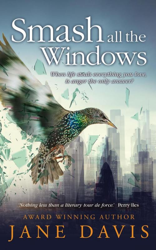 Cover of the book Smash all the Windows by Jane Davis, Jane Davis