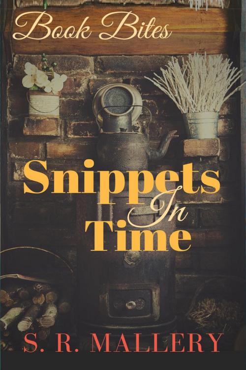 Cover of the book Book Bites: Snippets in Time by S.R. Mallery, Uvi Poznansky