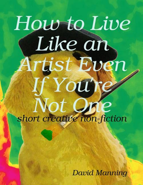 Cover of the book How to Live Like an Artist Even If You're Not One: Short Creative Nonfiction by David Manning, Lulu.com
