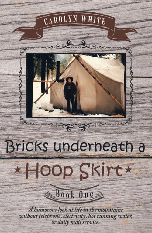 Cover of the book Bricks Underneath a Hoop Skirt by Carolyn White, LifeRich Publishing