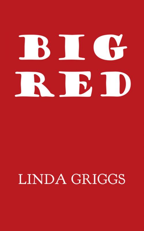 Cover of the book Big Red by Linda Griggs, Trafford Publishing