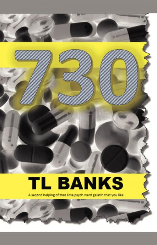 Cover of the book SeVeNtHiRtY by TL Banks, FastPencil, Inc.