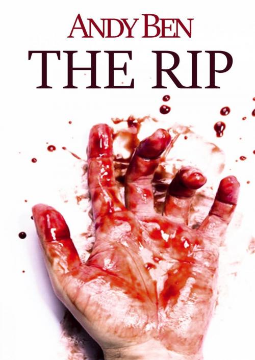 Cover of the book The rip by Andy Ben, Babelcube Inc.