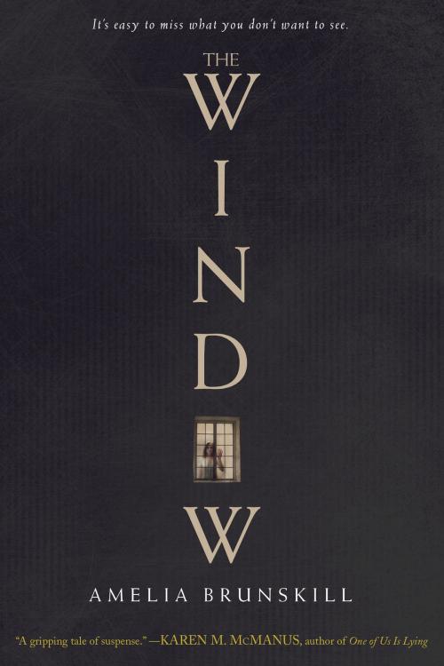 Cover of the book The Window by Amelia Brunskill, Random House Children's Books