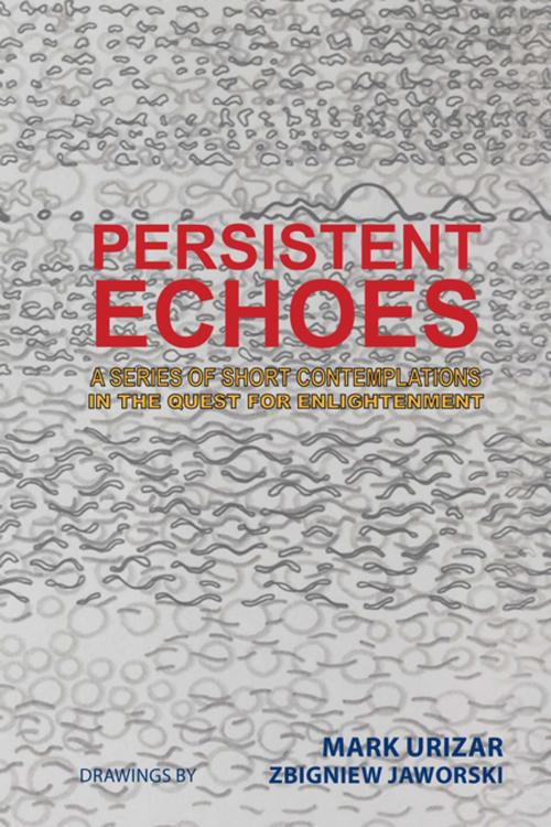 Cover of the book Persistent Echoes by Mark Urizar, Xlibris AU