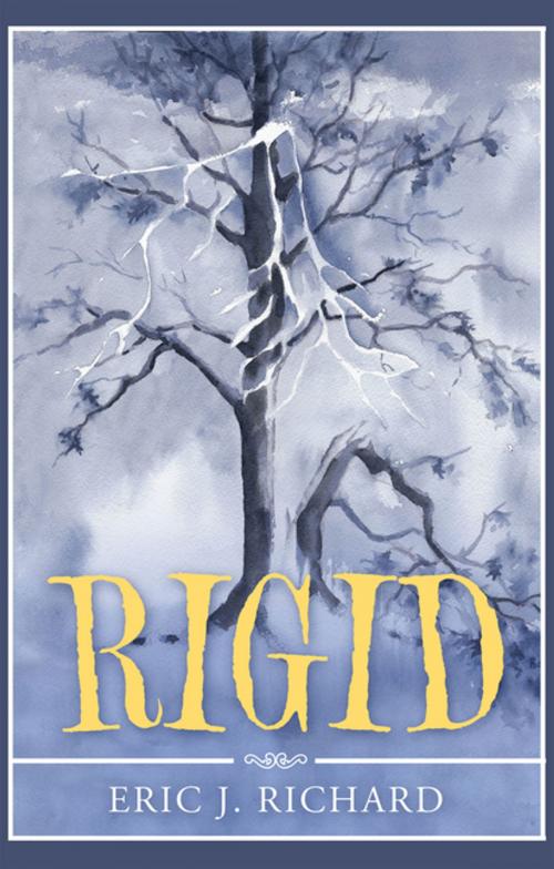 Cover of the book Rigid by Eric J. Richard, AuthorHouse