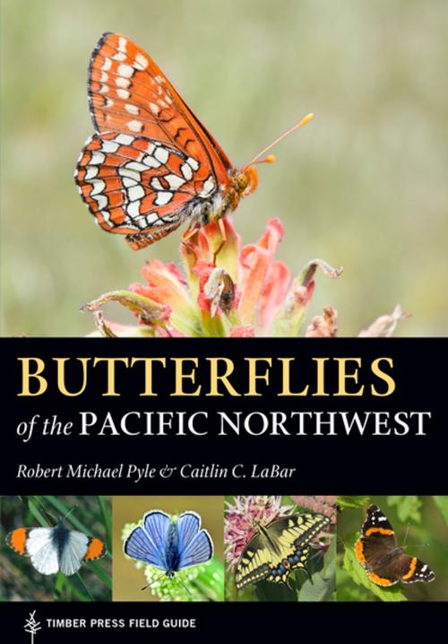 Cover of the book Butterflies of the Pacific Northwest by Robert Michael Pyle, Caitlin C. LaBar, Timber Press