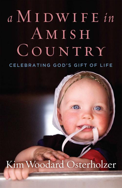 Cover of the book A Midwife in Amish Country by Kim Woodard Osterholzer, Salem Books