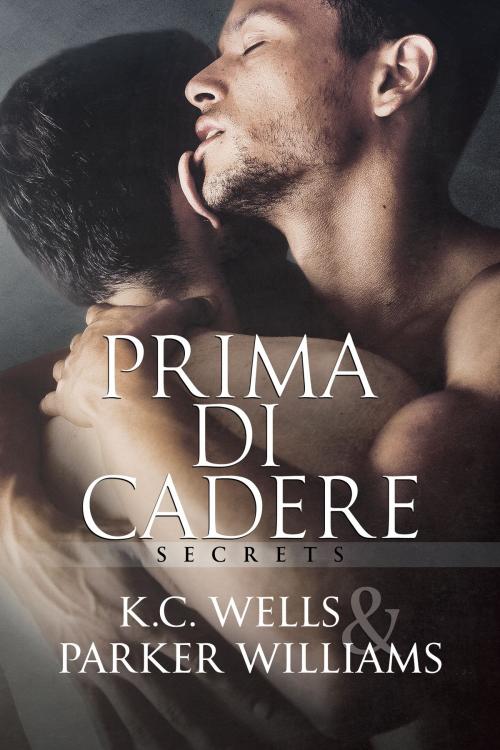 Cover of the book Prima di cadere by Parker Williams, K.C. Wells, Dreamspinner Press