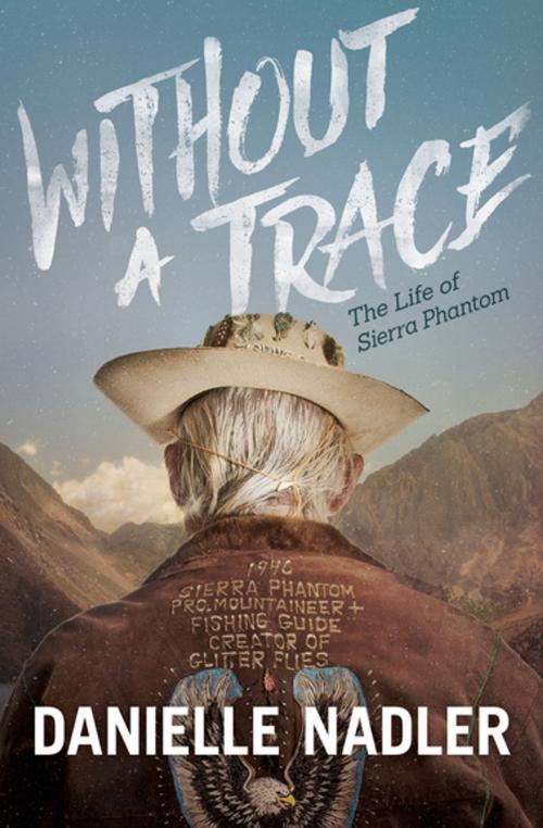 Cover of the book Without a Trace by Danielle Nadler, Morgan James Publishing