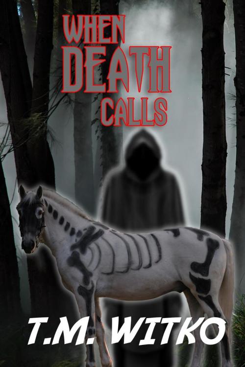 Cover of the book When Death Calls by Tawa Witko, Winyan Press, LLC