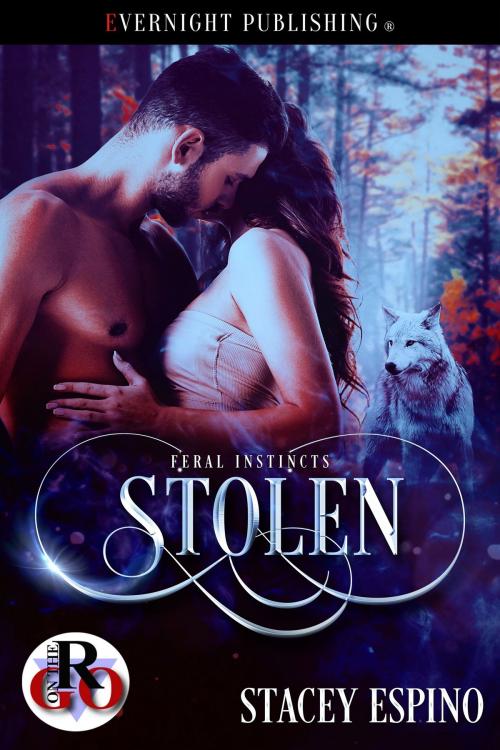 Cover of the book Stolen by Stacey Espino, Evernight Publishing