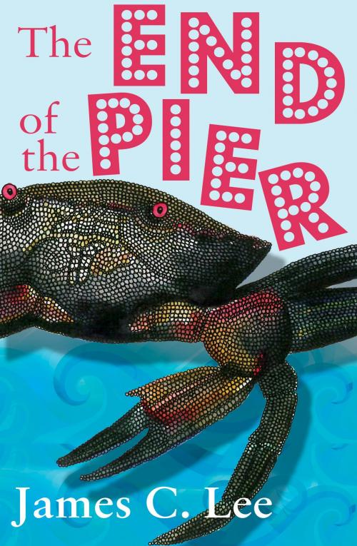 Cover of the book The End of the Pier by James C. Lee, Troubador Publishing Ltd