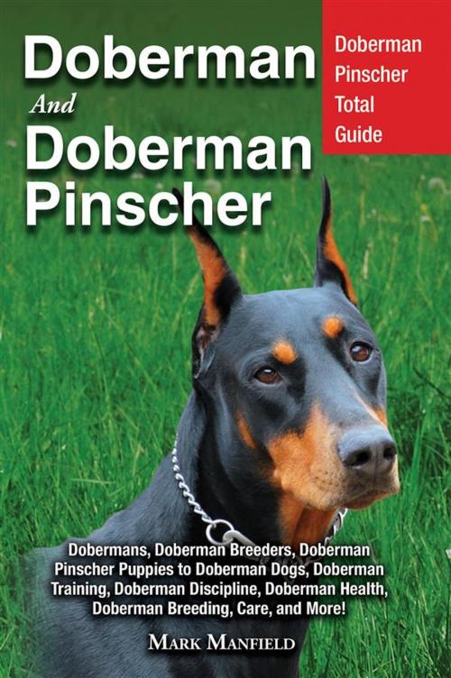 Cover of the book Doberman and Doberman Pinscher by Mark Manfield, DYM Worldwide Publishers