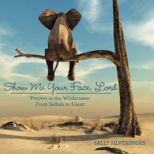 Cover of the book Show Me Your Face, Lord by Sally Silvershoes, WestBow Press