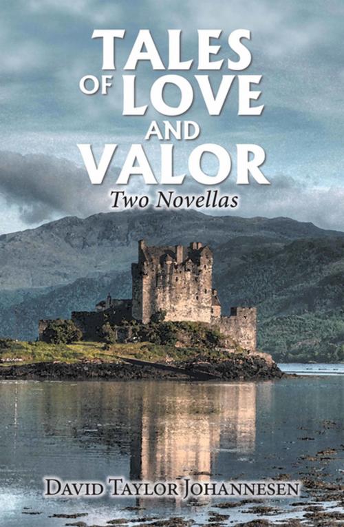 Cover of the book Tales of Love and Valor by David Taylor Johannesen, Xlibris US