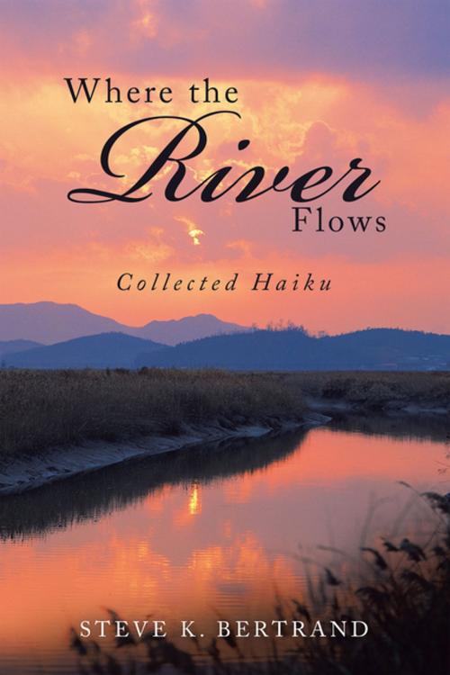 Cover of the book Where the River Flows by Steve K. Bertrand, Xlibris US