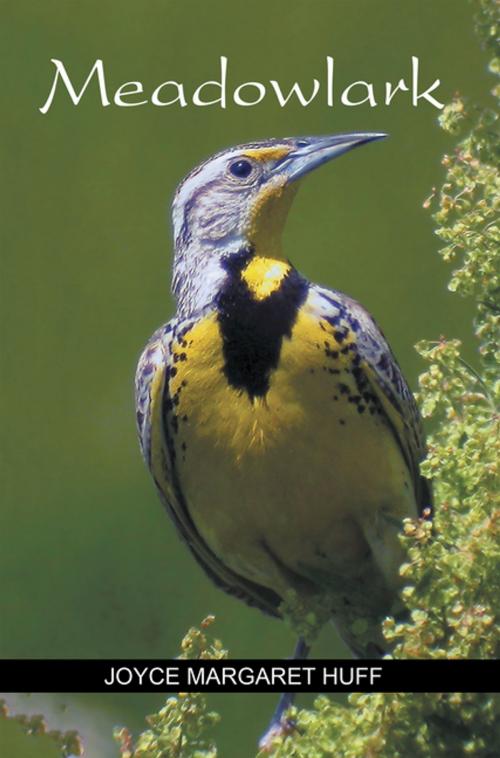 Cover of the book Meadowlark by Joyce Margaret Huff, Xlibris US