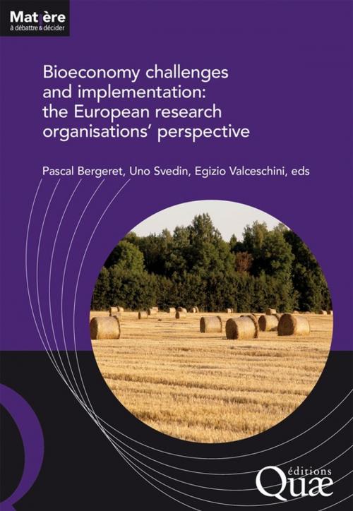 Cover of the book Bioeconomy challenges and implementation: the European research organisations' perspective by Egizio Valceschini, Pascal Bergeret, Uno Svedin, Quae
