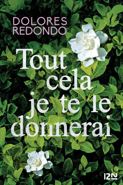 Cover of the book Tout cela je te le donnerai by Dolores REDONDO, Univers Poche