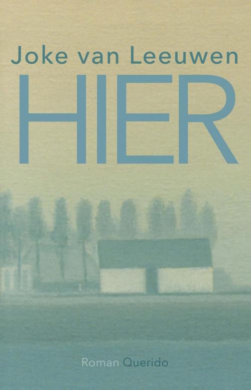 Cover of the book Hier by Joke van Leeuwen, Singel Uitgeverijen