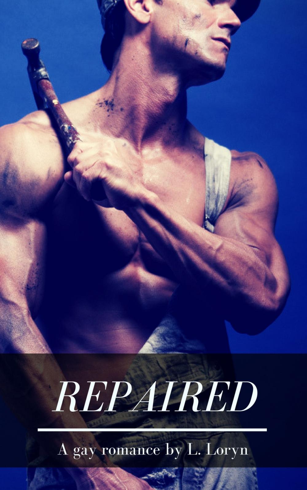 Big bigCover of Repaired