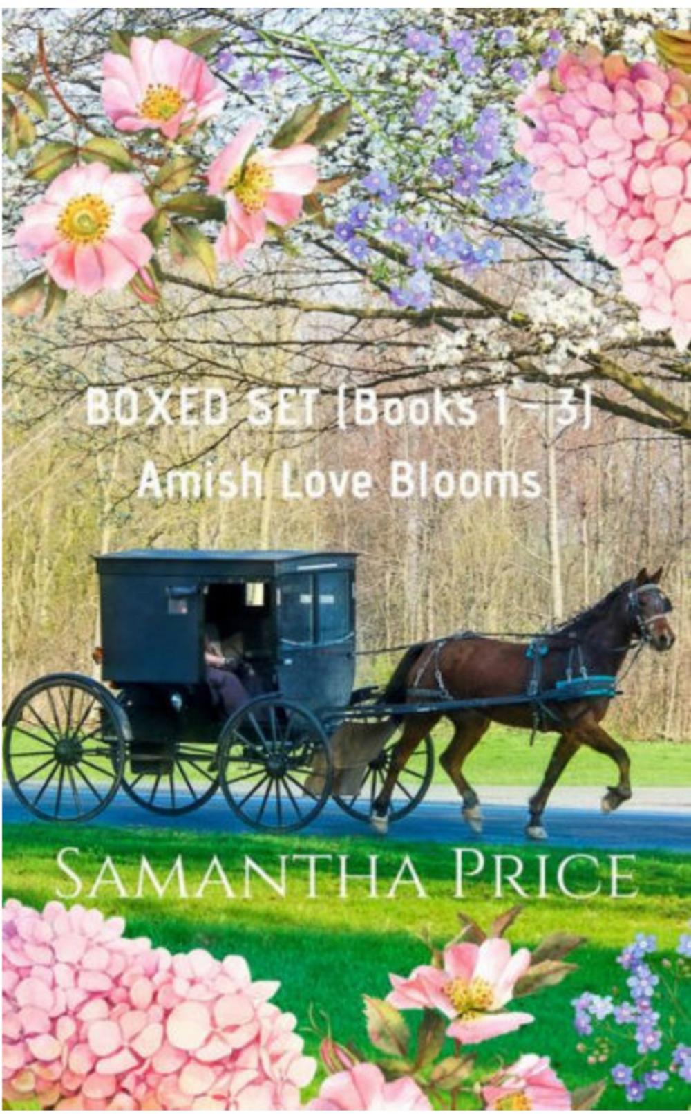 Big bigCover of Amish Love Blooms Boxed Set Books 1 - 3