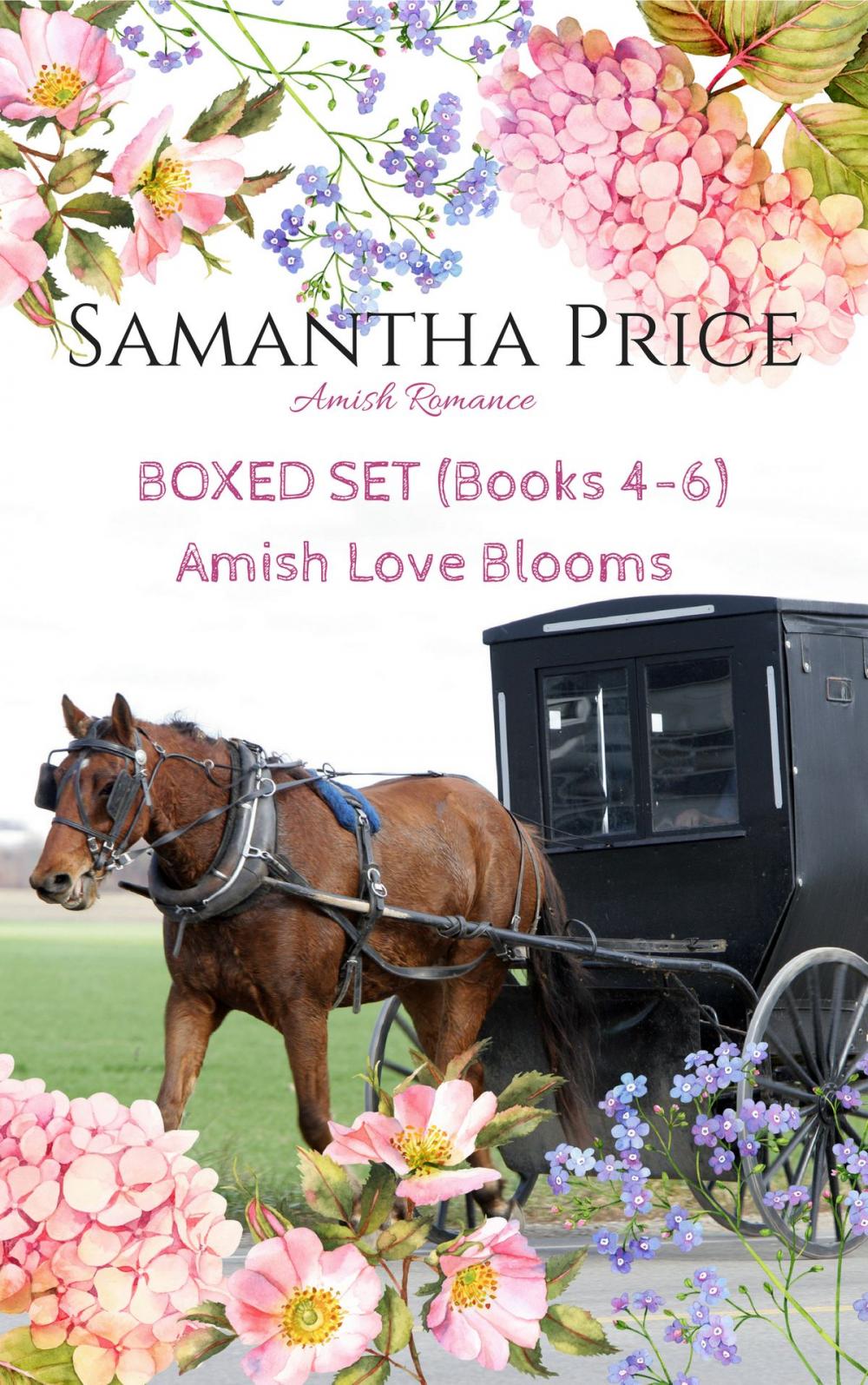 Big bigCover of Amish Love Blooms Boxed Set Books 4 - 6