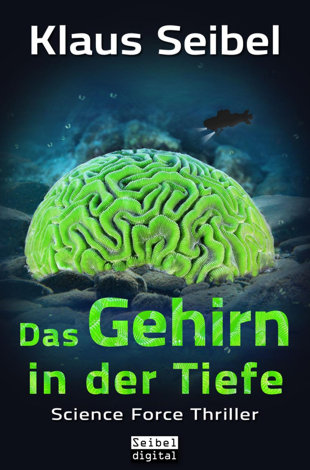 Big bigCover of Das Gehirn in der Tiefe