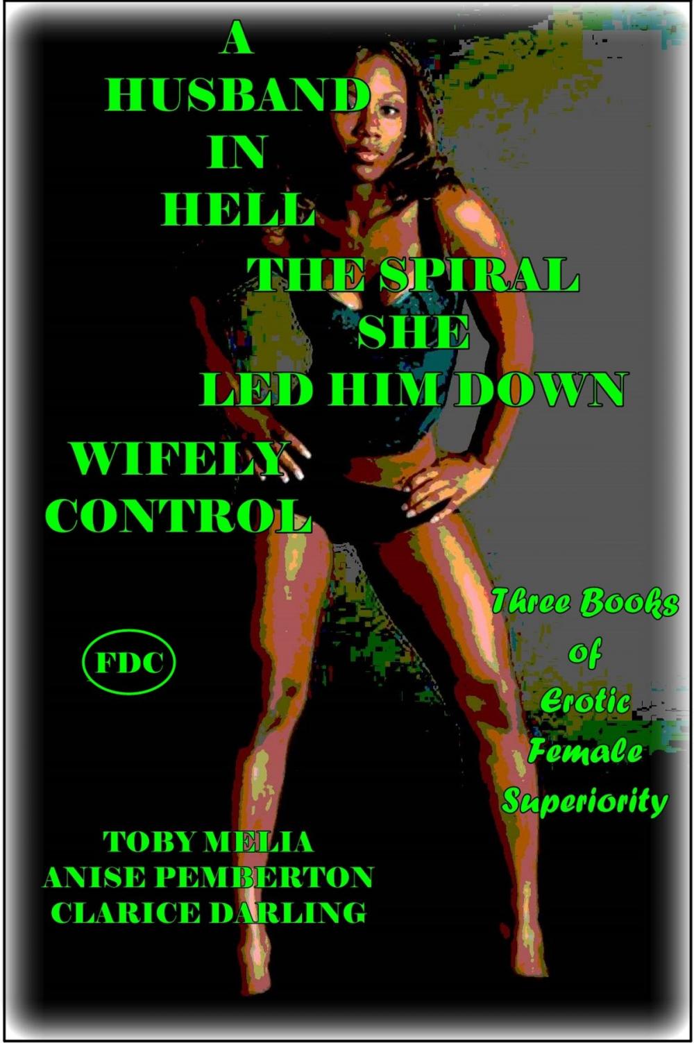 Big bigCover of A Husband in Hell - The Spiral She Led Him Down - Wifely Control