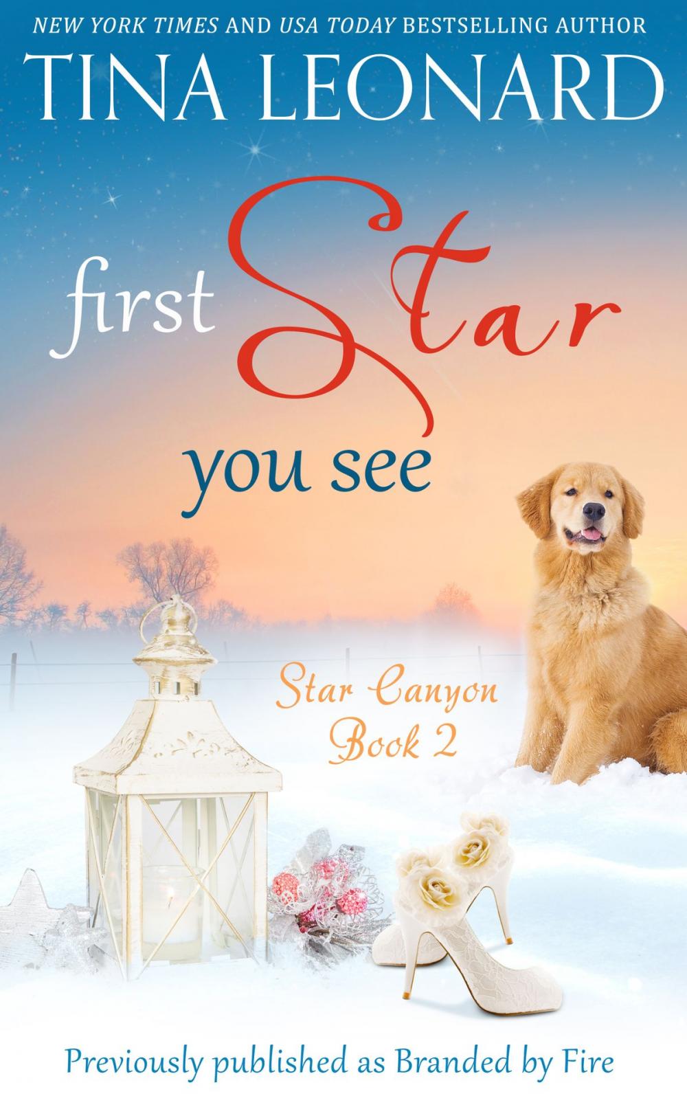 Big bigCover of First Star You See