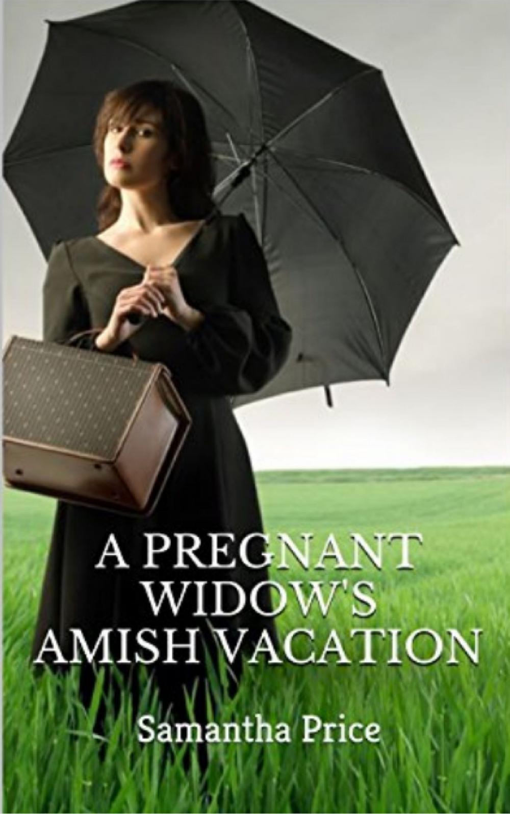 Big bigCover of A Pregnant Widow's Amish Vacation